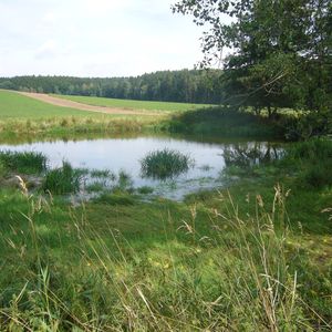 Ökologische Baubegleitung / Landschaftsplanung